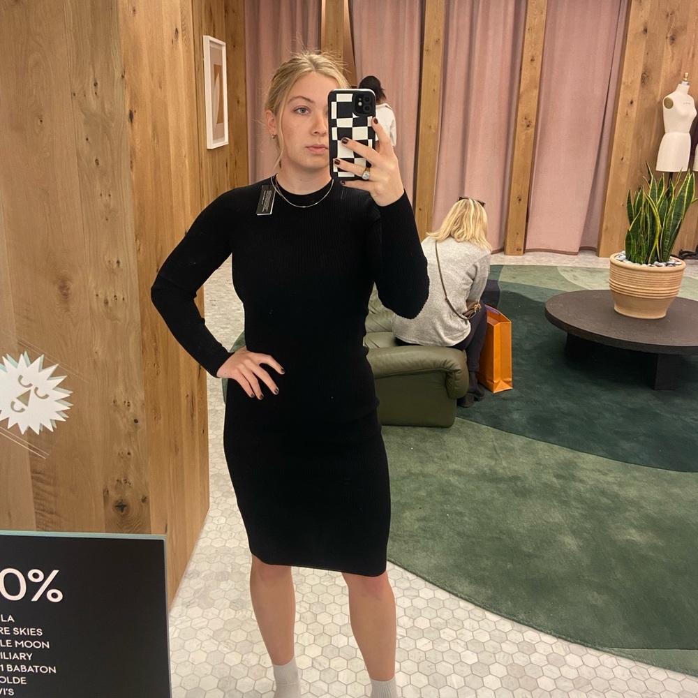 Aritzia Dumas dress brand new with tags